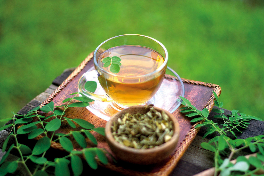 How to Buy the Best Moringa Tea - How to Avoid Scams