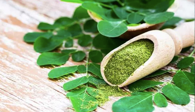 Four Reasons to Start Drinking Moringa Tea!