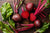 Beetroot and Heart Health - How Does Beet Root Improve Heart Health?