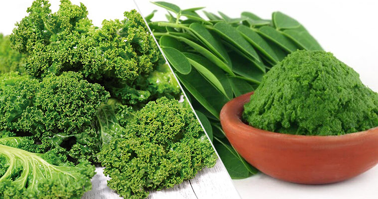 Moringa vs. Kale - Which Superfood is Better?